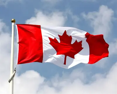 Canadian-copy Canadian tourist/visitor visa application process